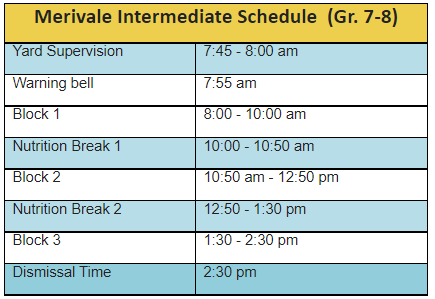 Merivale Intermediate Schedule